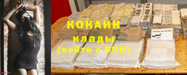 ГАЛЛЮЦИНОГЕННЫЕ ГРИБЫ Абдулино