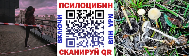 Галлюциногенные грибы Cubensis  Рыльск 